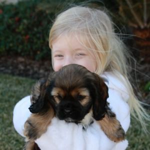 Meet your Posher, Julie